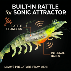 Fishing Lure #11 Premium Soft Shrimp Bait Set - Realistic Prawn Artificial Gear for Bass Trout